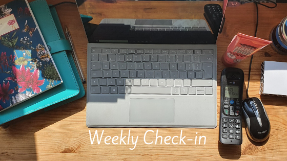 Weekly Check-in (40) – Rev Poppy