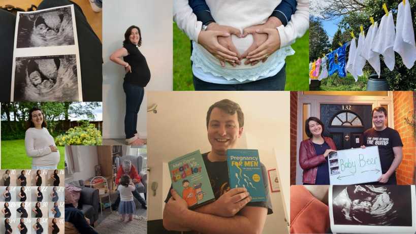 Pregnancy Preferences