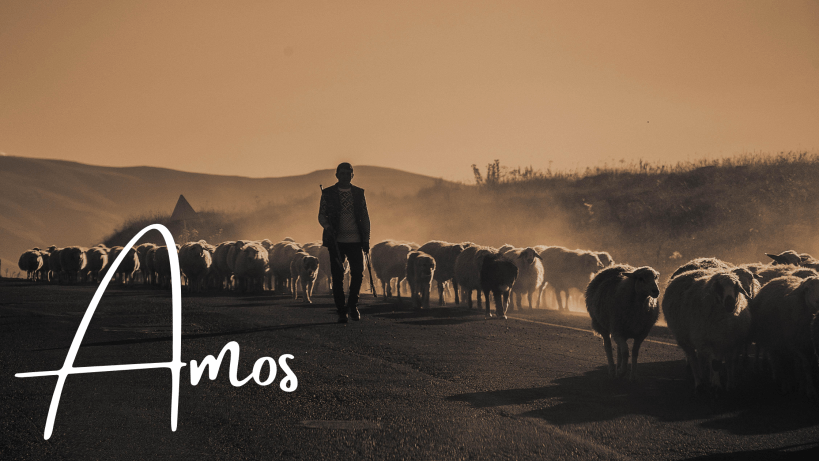 Amos
