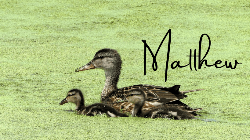 Matthew